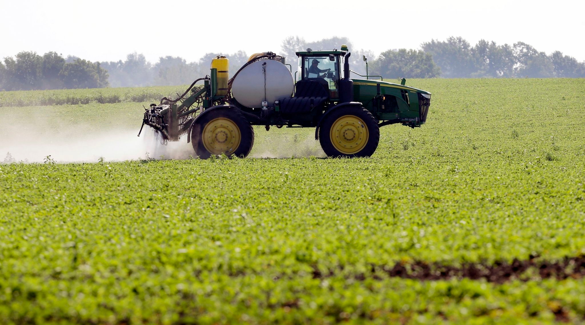 Georgia become second US state to shield maker of Roundup weed killer from some cancer claims