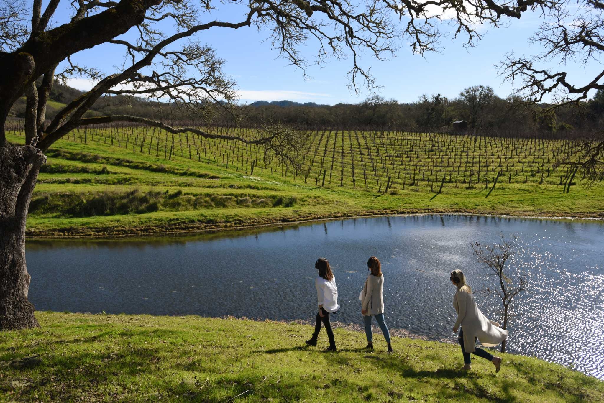 Acclaimed Wine Country vineyard with popular tasting room is up for sale