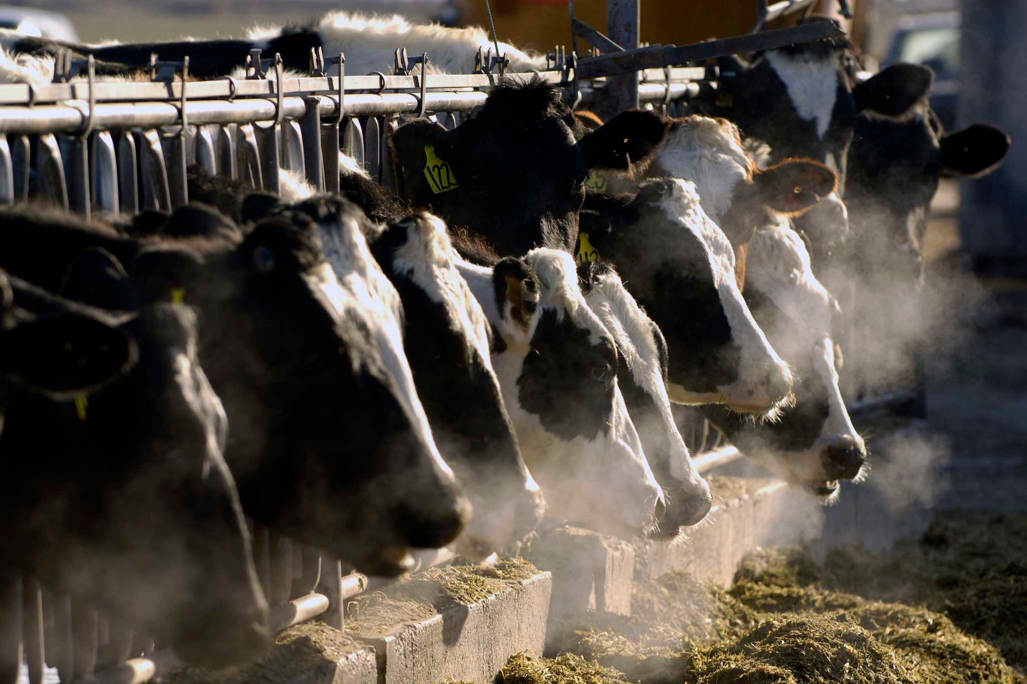 The worst of avian flu outbreak may be over in California, health officials say