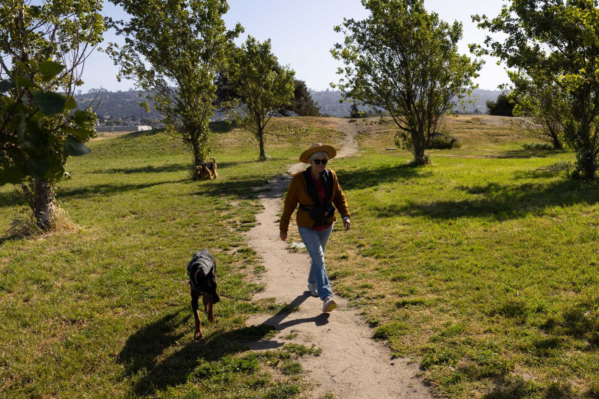 Disneyland for dogs? I found an incredible surprise behind this East Bay Costco