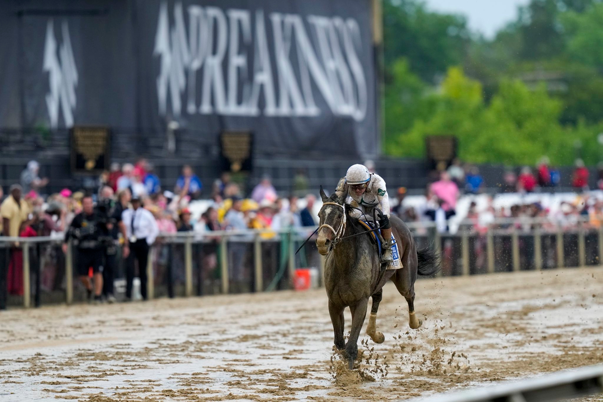 Favorite Margie's Intention handles the slop at Pimlico, wins the Black-Eyed Susan