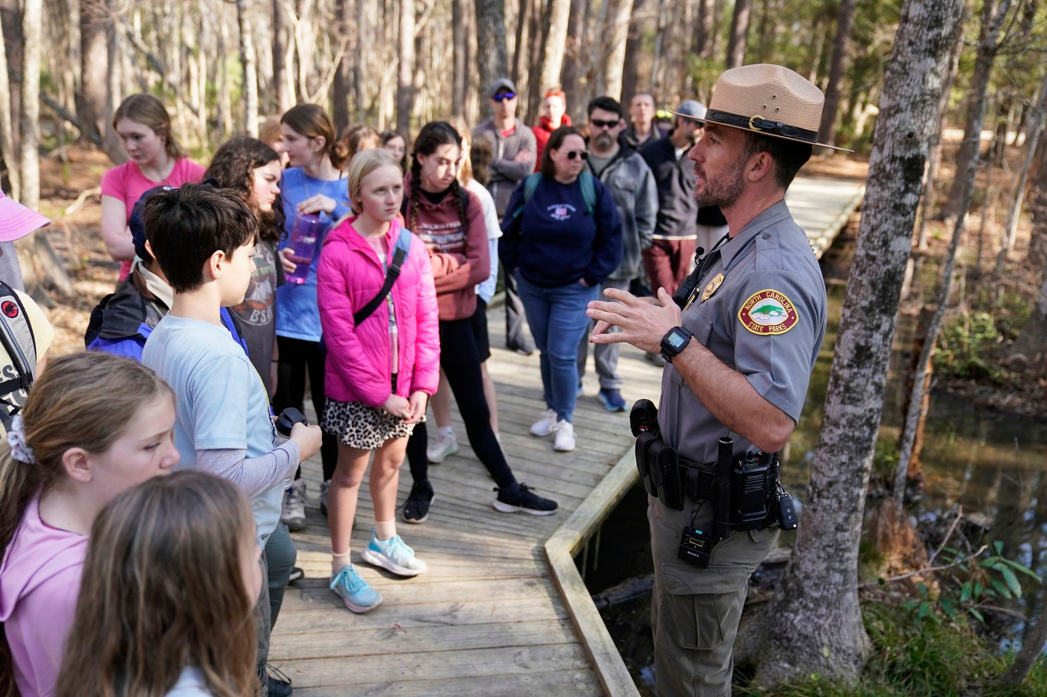 Insect-eating Venus flytraps thrive in the Carolinas as hikers peek into their native ecosystem