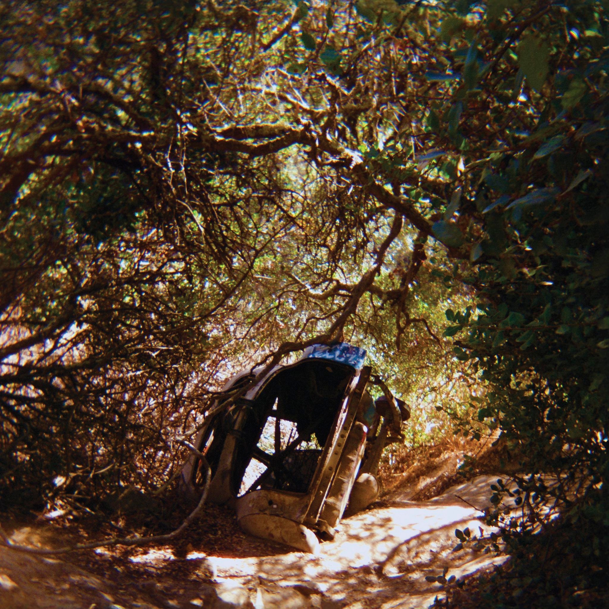 Music Review: Virtuosic guitarist Ty Segall finds a new sweet spot on his laid-back 'Possession'