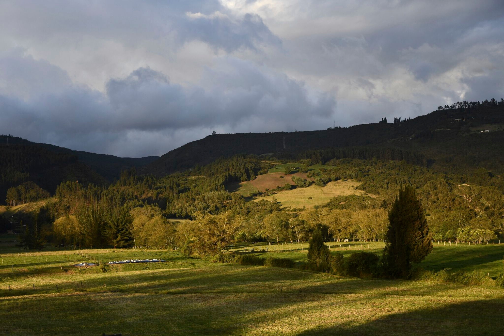 Ancient DNA reveals a new group of people who lived near land bridge between the Americas