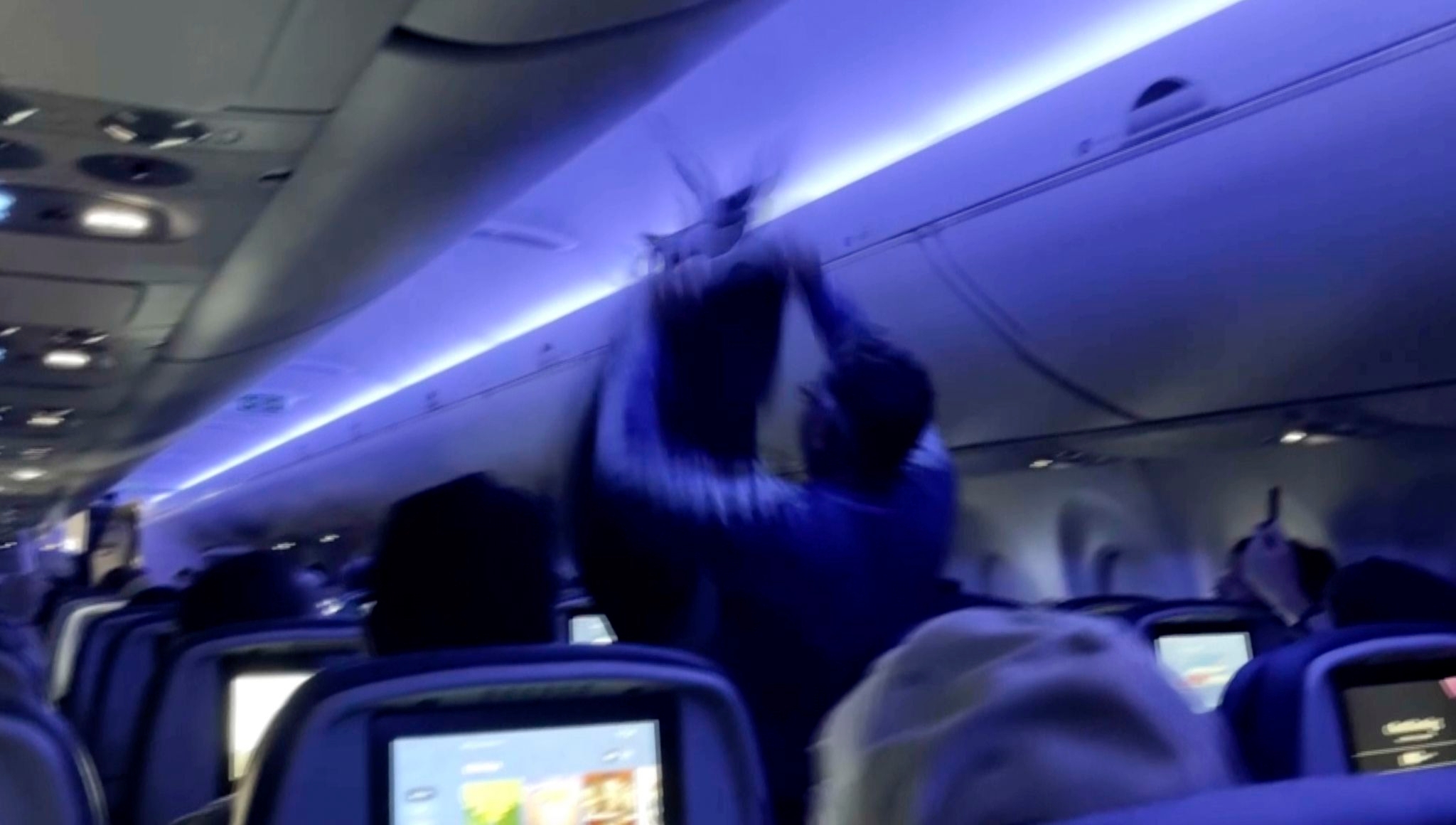 Delta flight delayed because 2 pigeons sneaked aboard a plane in Minneapolis