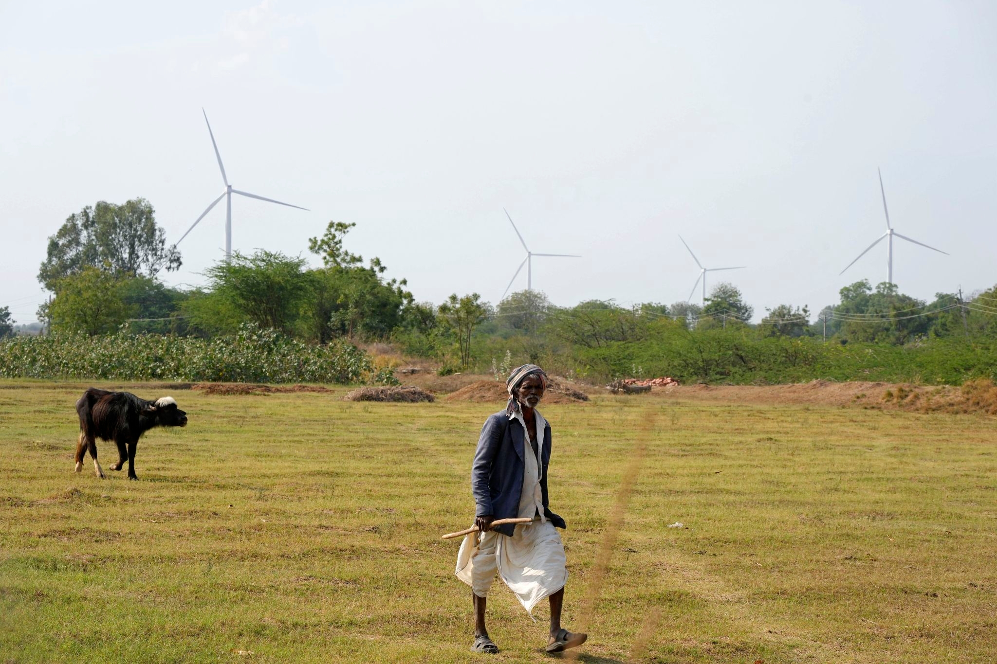 India, a major user of coal power, is making large gains in clean energy adoption. Here is how
