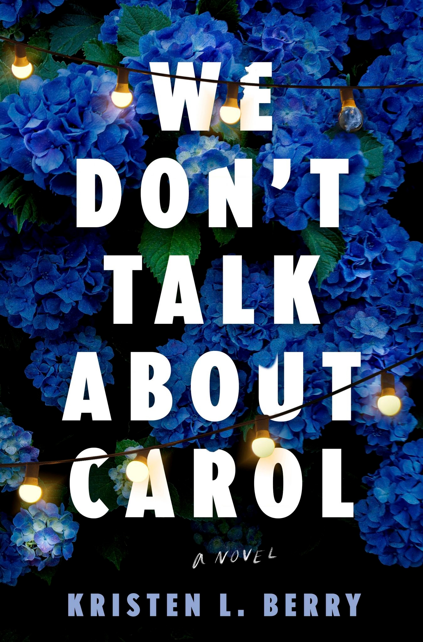 Book Review: A diary sends a woman on a quest to solve the cold case of 6 missing Black girls
