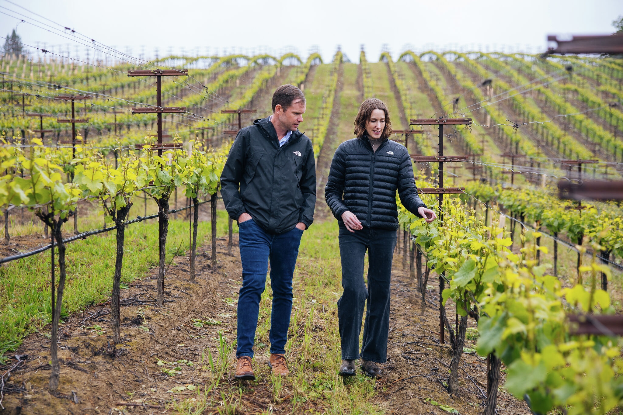 A new California winery will change your mind about Chardonnay