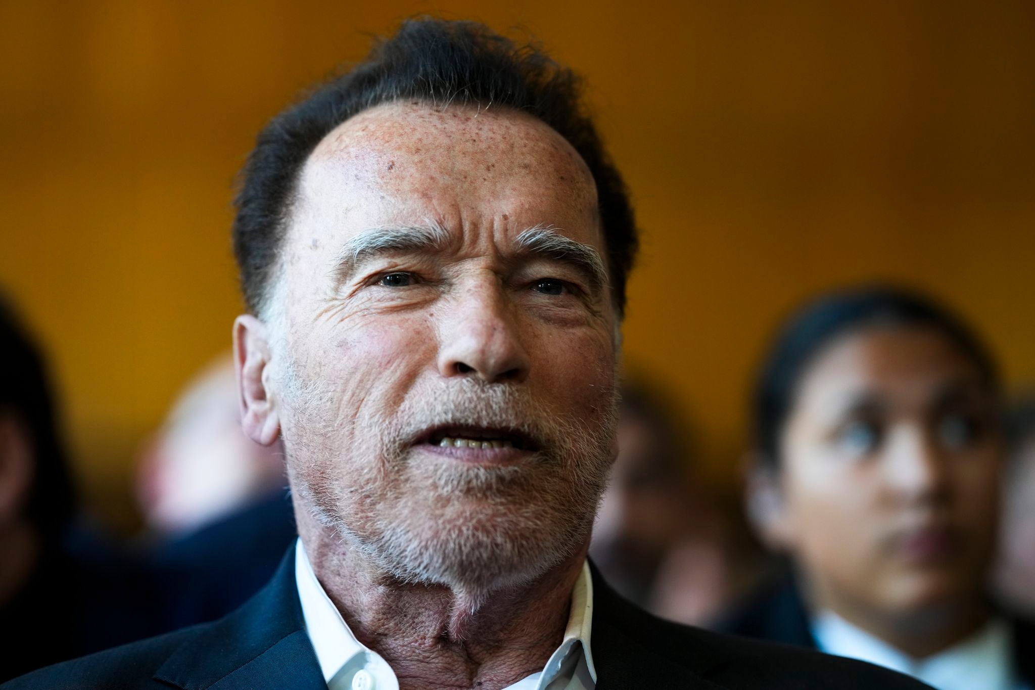 Schwarzenegger tells environmentalists dismayed by Trump to 'stop whining' and get to work
