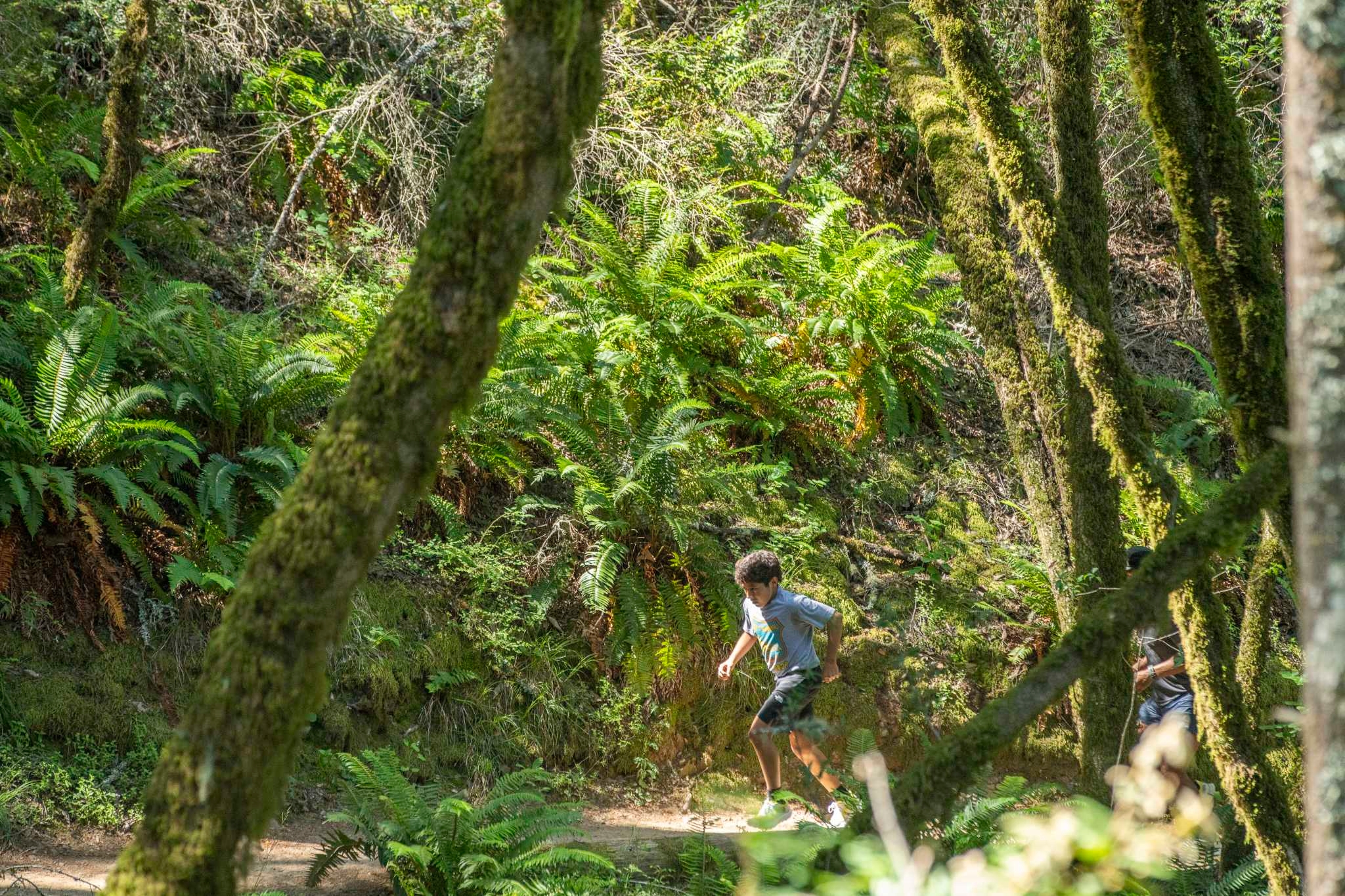 The Bay Area's toughest trail race has a twist: A child just might win
