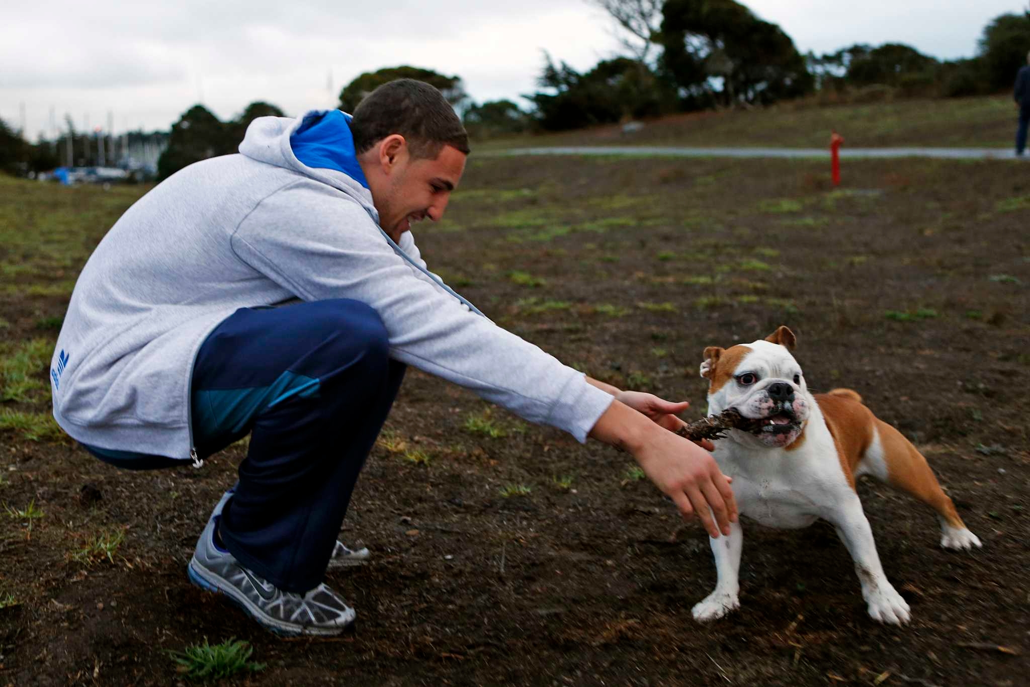 Bay Area sports fandom is special. Rocco the bulldog shows why