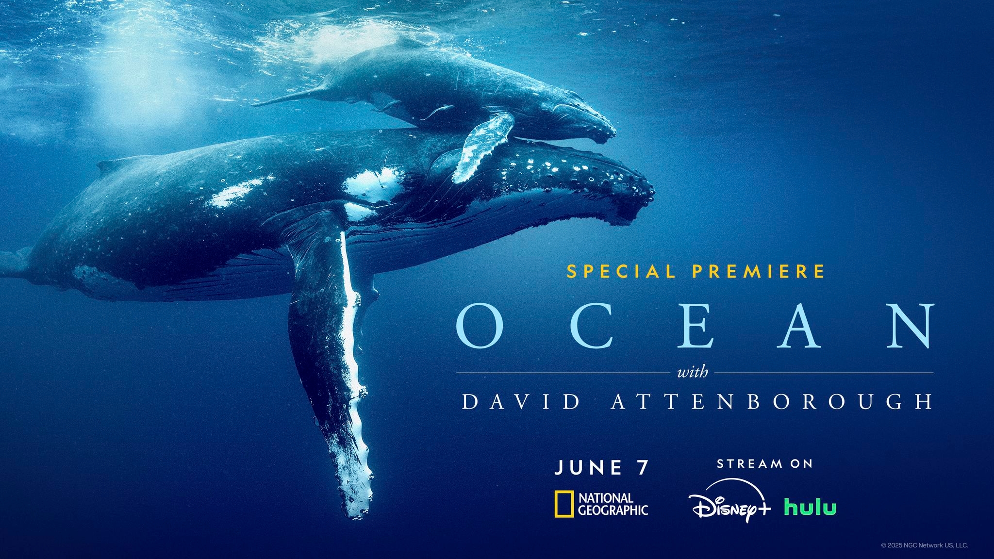 David Attenborough's 'Ocean' is a brutal, beautiful wakeup call from the sea