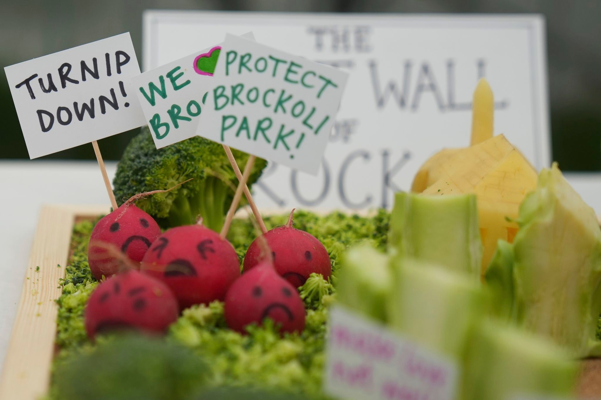 A quirky vegetable sculpture contest features a squash Donald Trump and a papal 'cornclave'