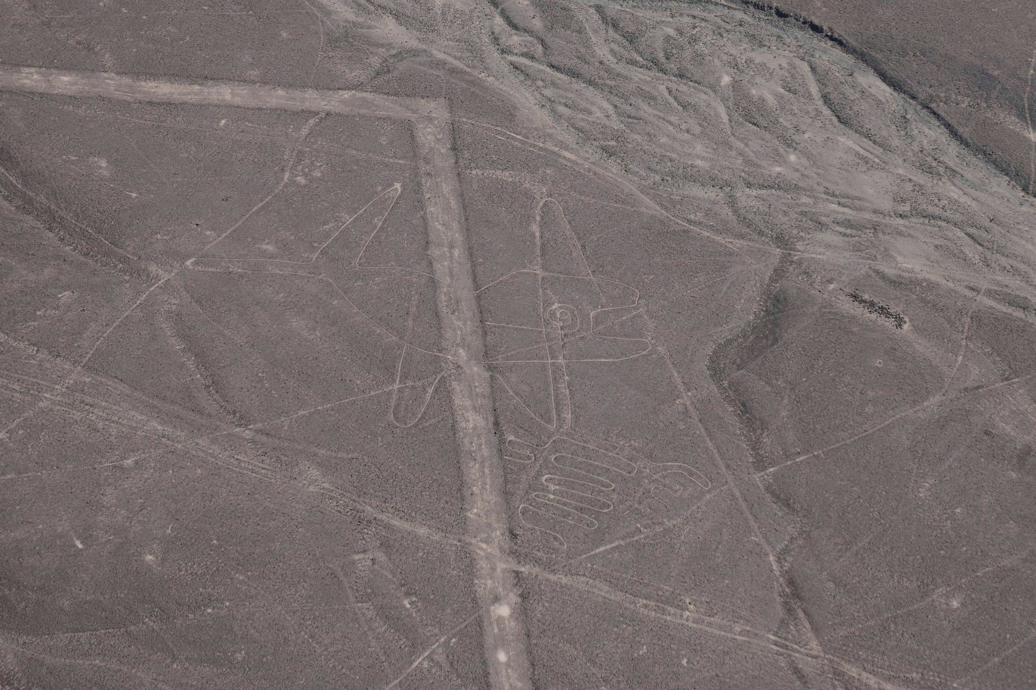 Peru reinstates full protection of Nazca Lines reserve after controversial cutback