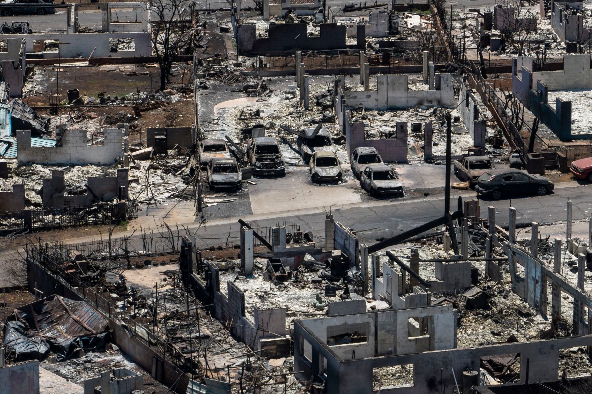 50 trucks will spend 5 months transporting Lahaina wildfire debris to a Maui landfill