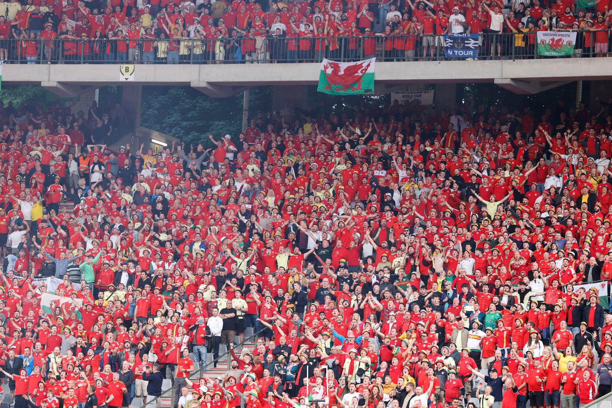 Fan taken to hospital after falling from stand during Belgium-Wales soccer match