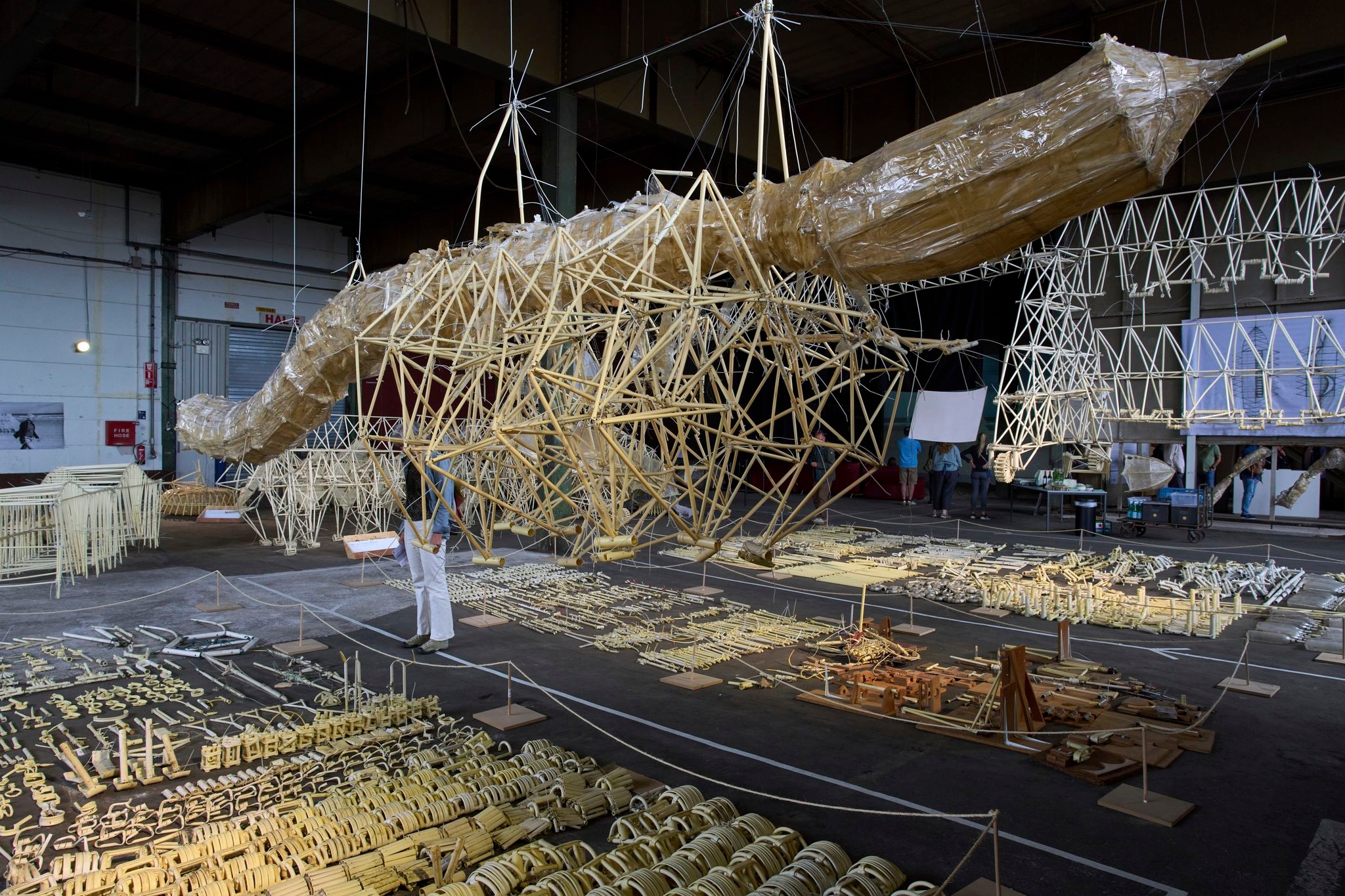 Dutch beach beasts find a final resting place in a new exhibition