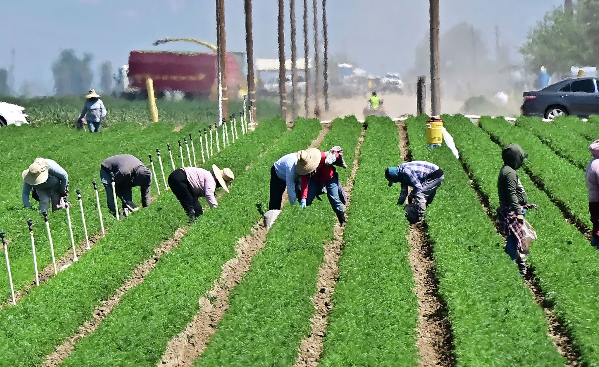Fear of ICE raids spreads across California's farmworkers