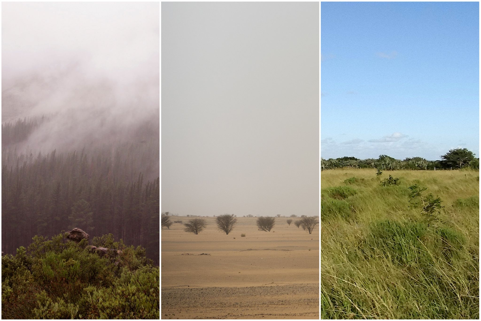 Early humans adapted to extreme habitats. Researchers say it set the stage for global migration