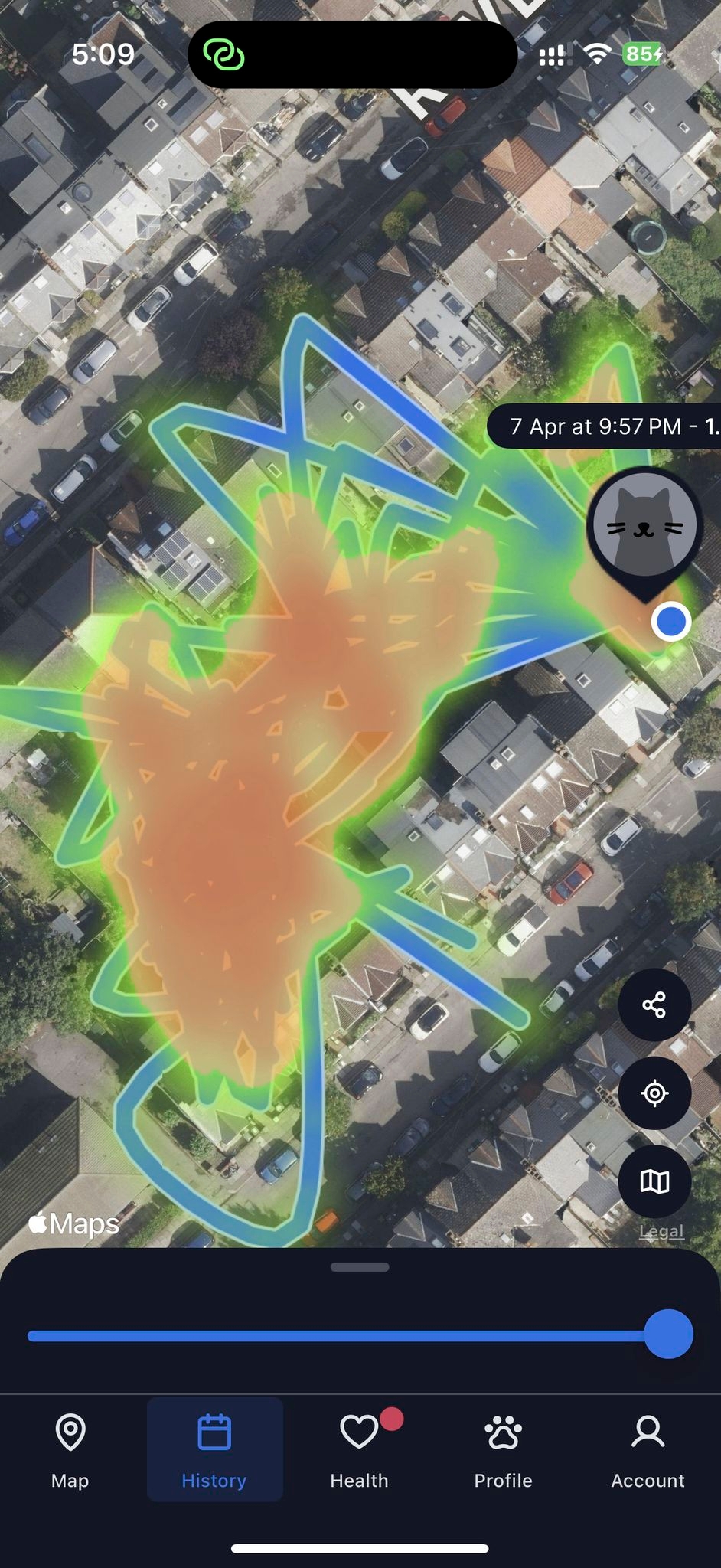 One Tech Tip: No more lost cats and dogs. Use tech to track your pet