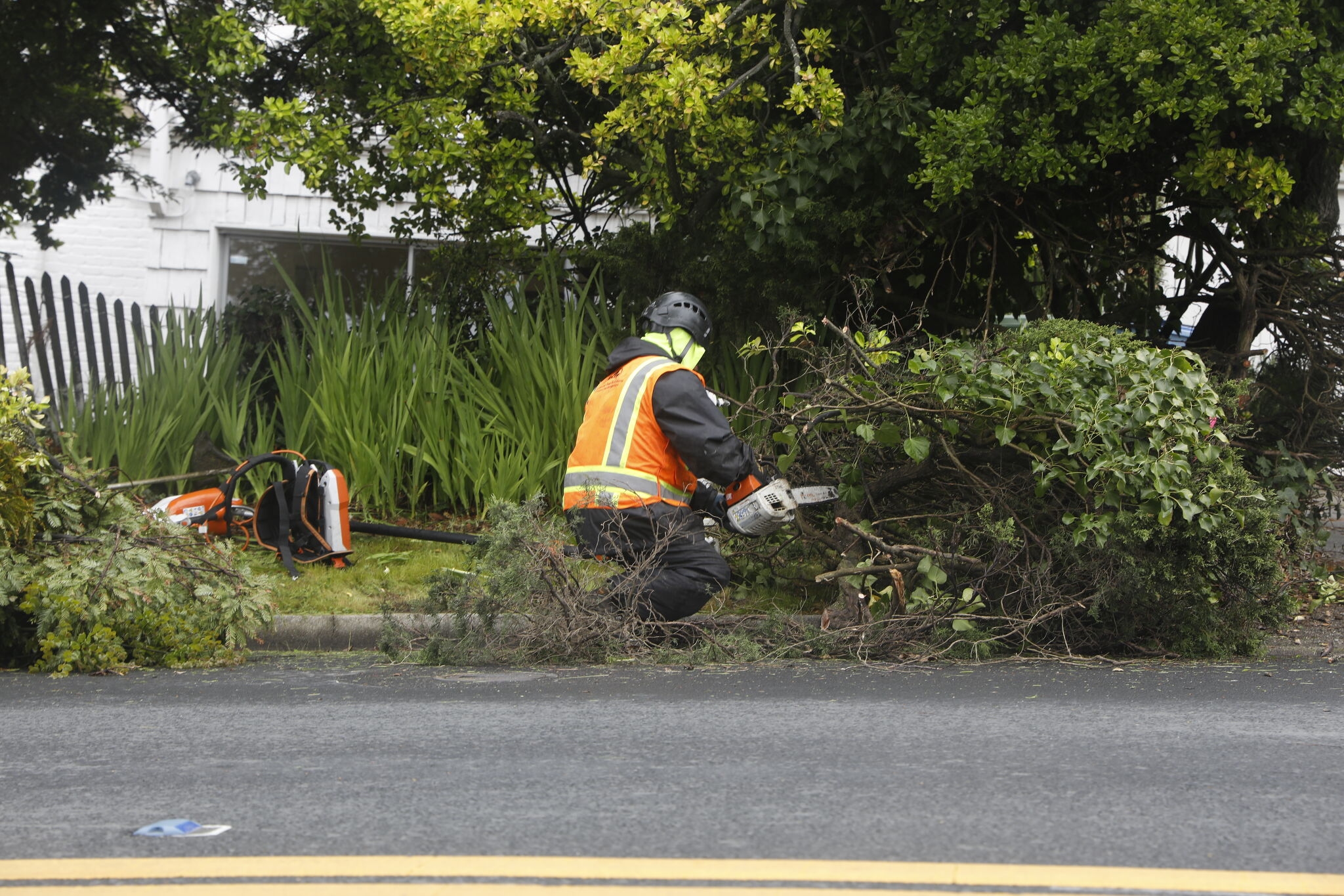Unlike many of my Berkeley hills neighbors, here's why I'm happy to comply with new fire rules