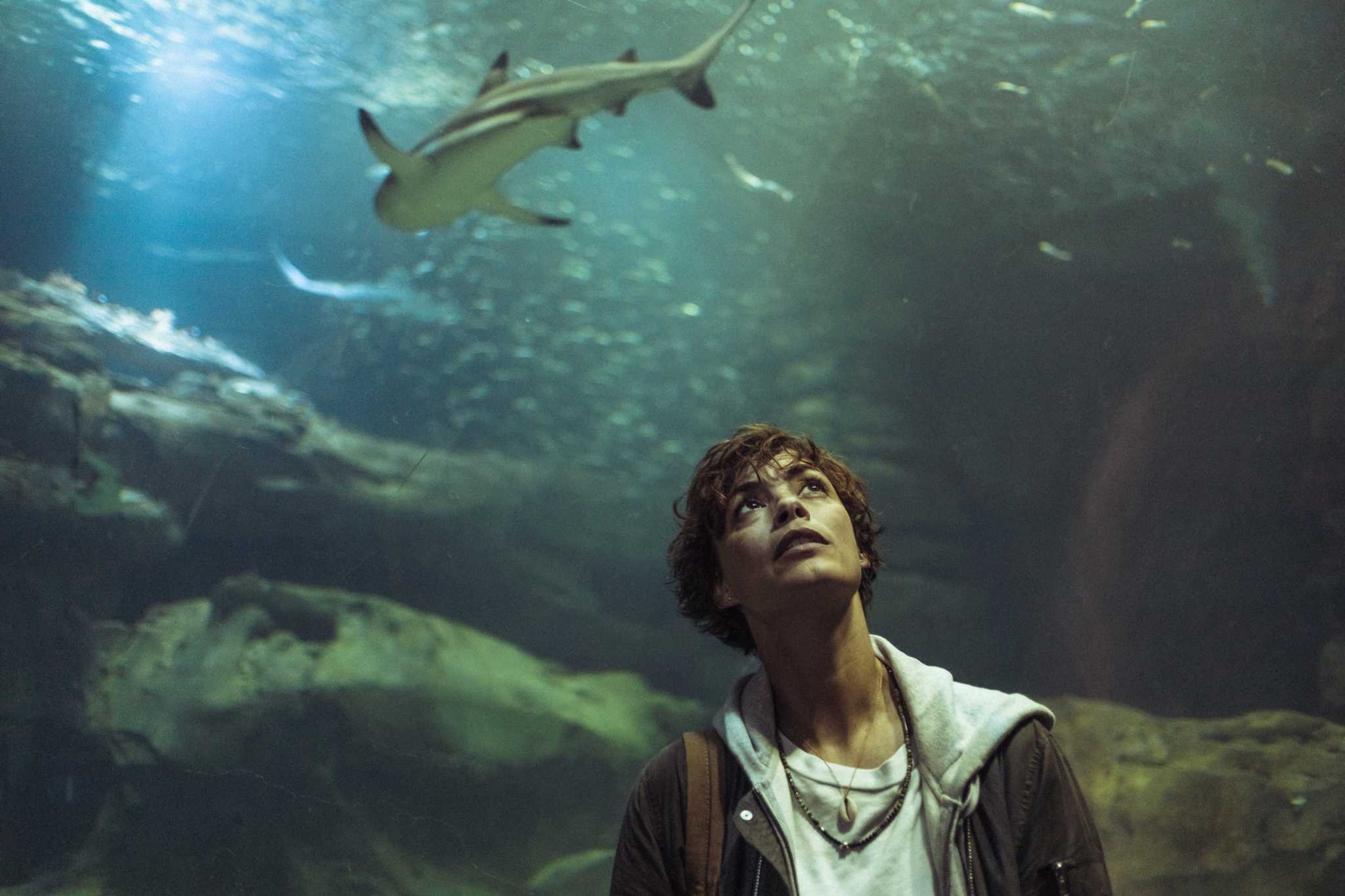 Stream it: The best ‘Jaws'-inspired films and documentaries