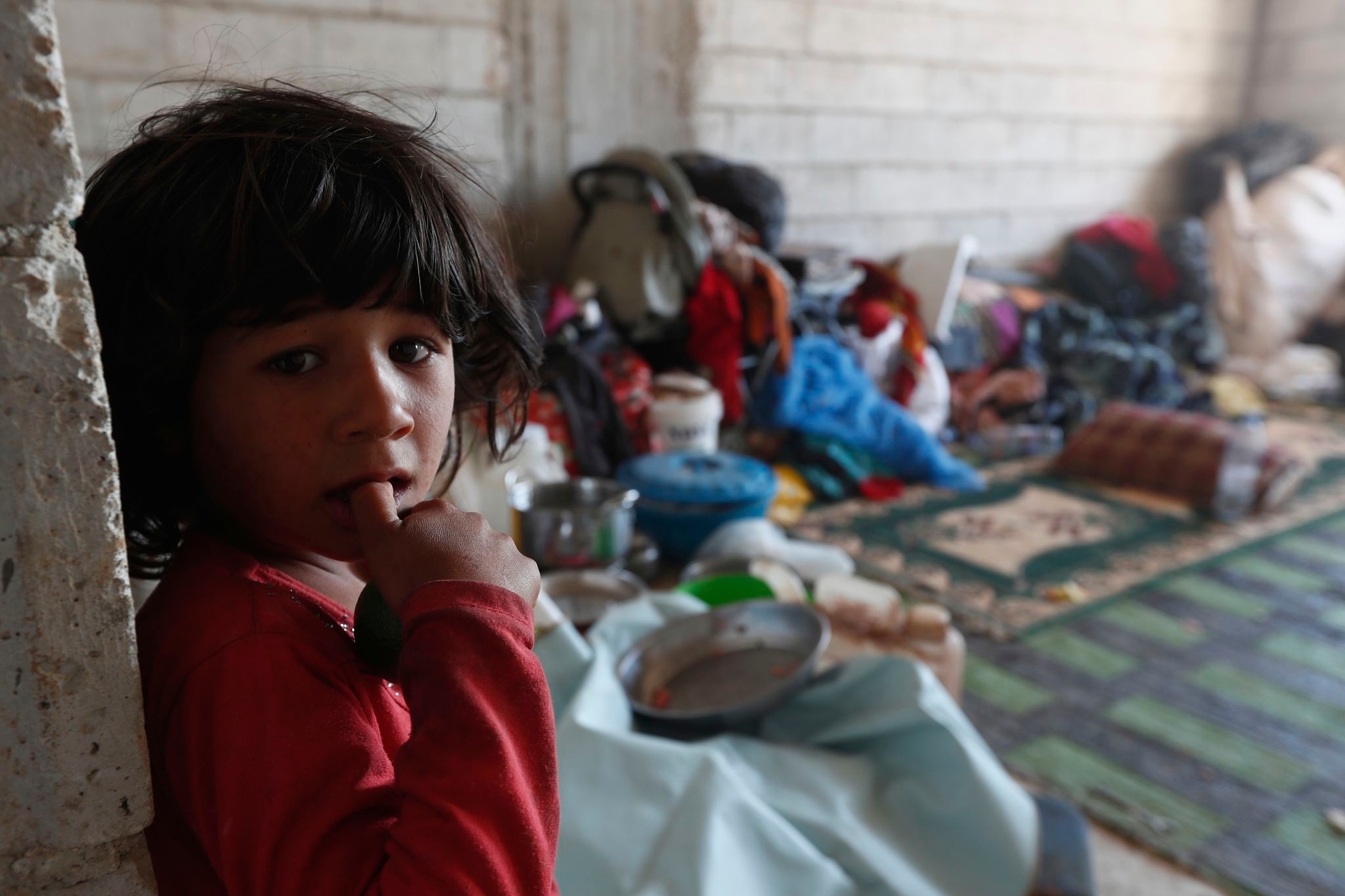 Syrian government starts evacuating Bedouin families from Sweida in bid to end weeklong clashes