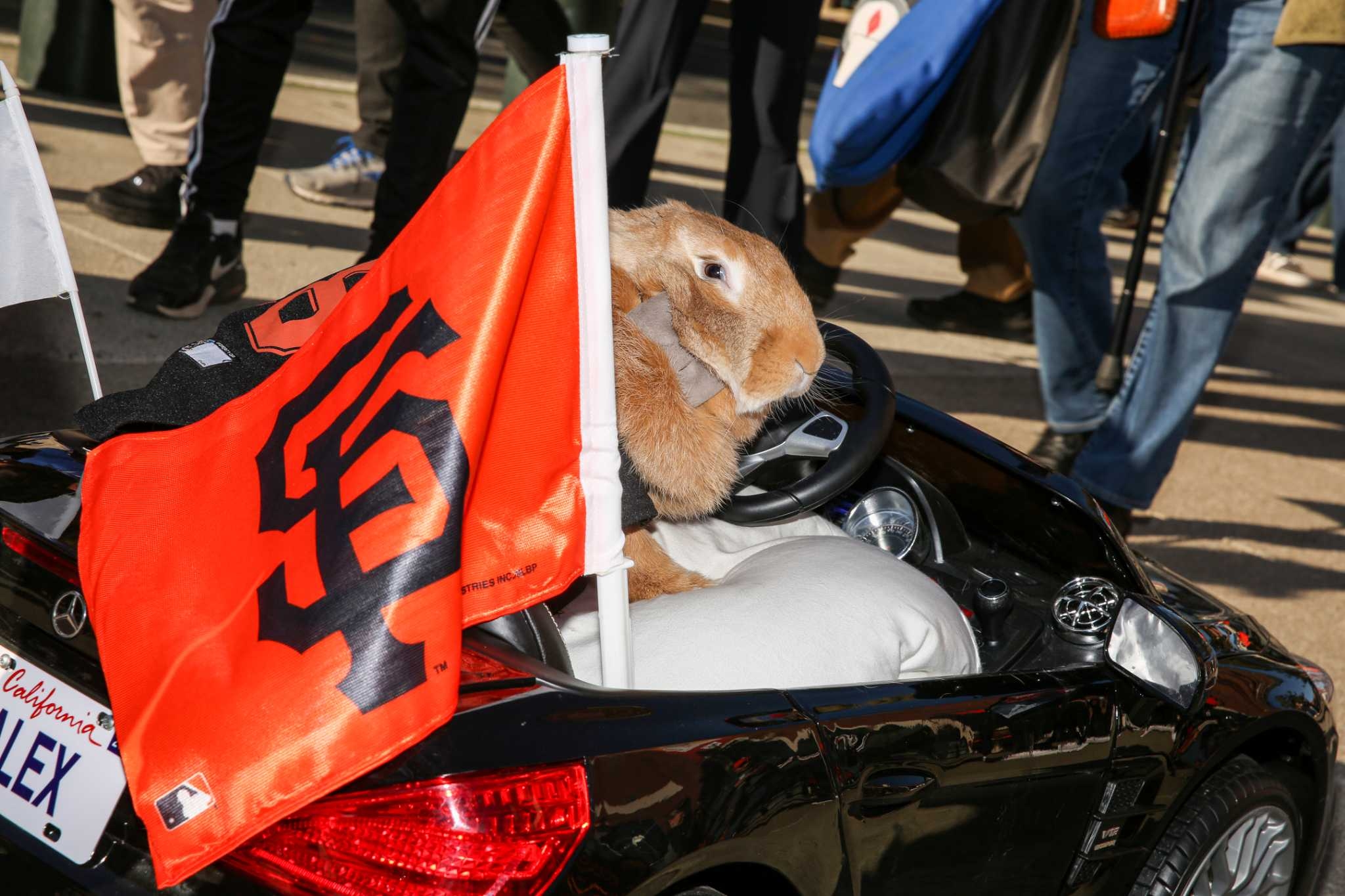 How Alex the Great's owners are honoring legacy of ‘Rally Rabbit'