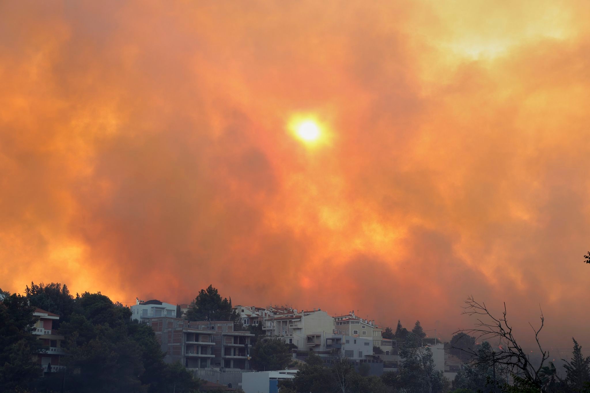 Wildfire burns through northern suburb of Greece's capital Athens and residents are told to evacuate