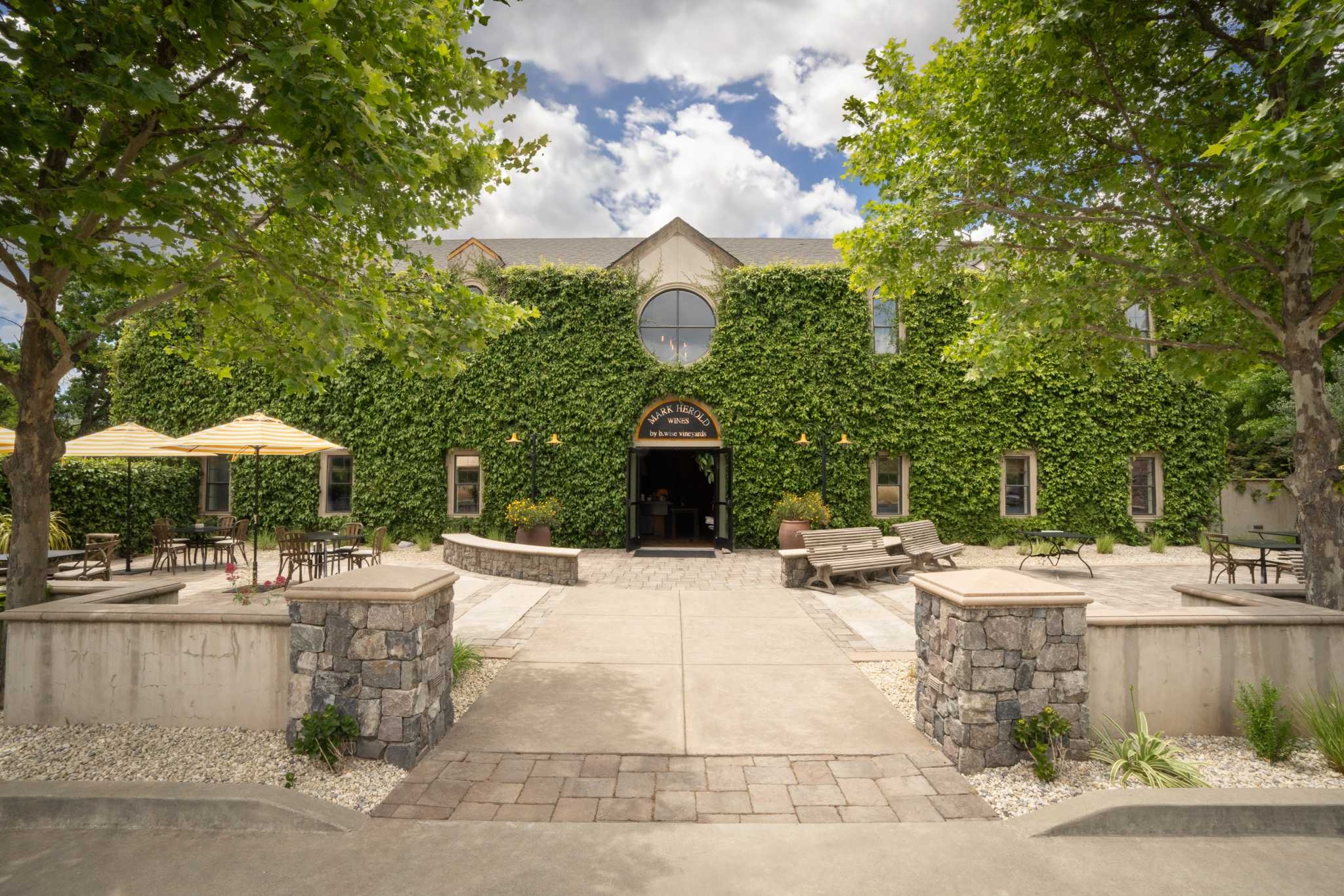 From free wine tasting to a trendy swim club, here's what's new in Wine Country