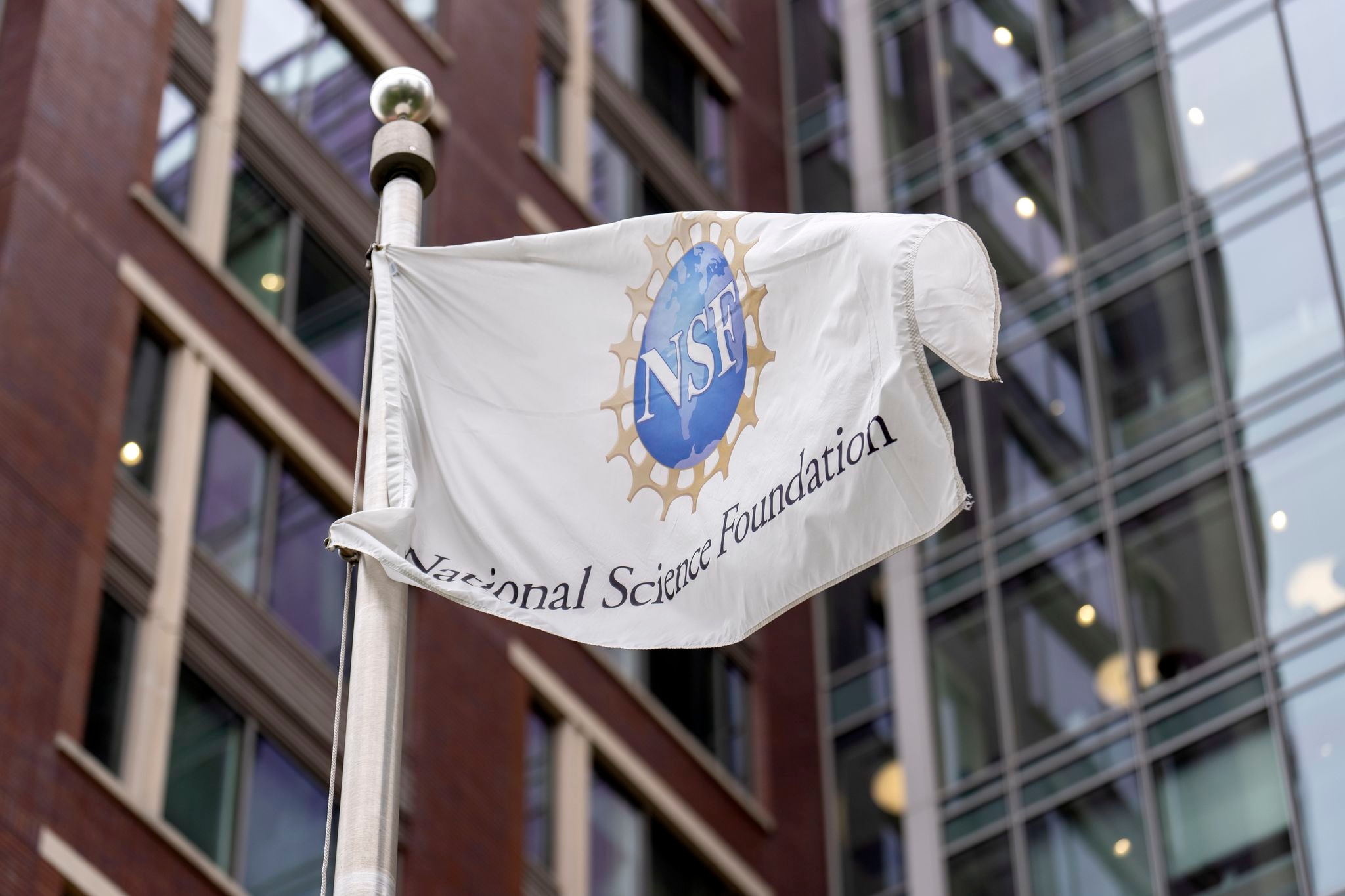 Judge allows the National Science Foundation to withhold hundreds of millions of research dollars