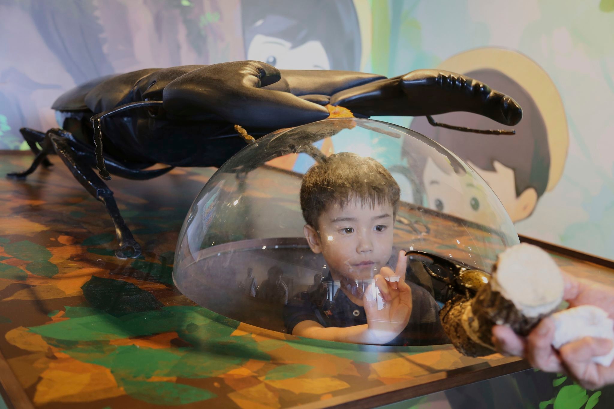 Bugs are popular pets in nature-loving Japan, buzzing with lessons about ecology and species