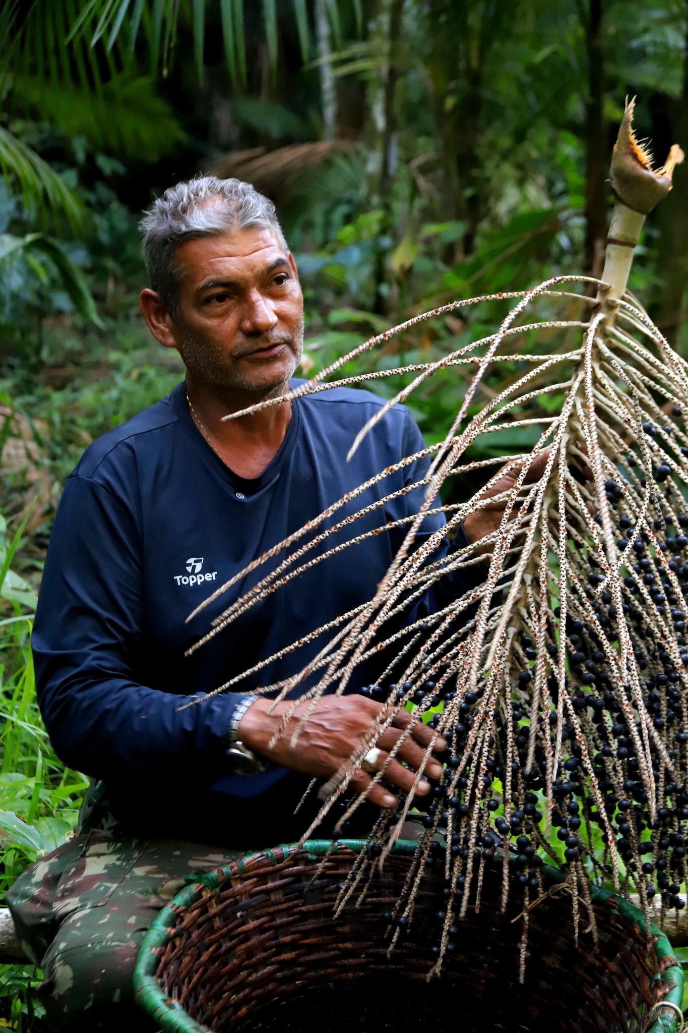 Why Trump's tariffs could be a disaster for Brazil's acai industry and American consumers