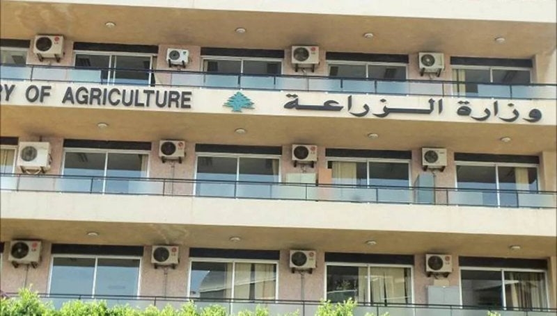 في 100 يوم... "الزراعة" تُفنّد "إنجازاتها"