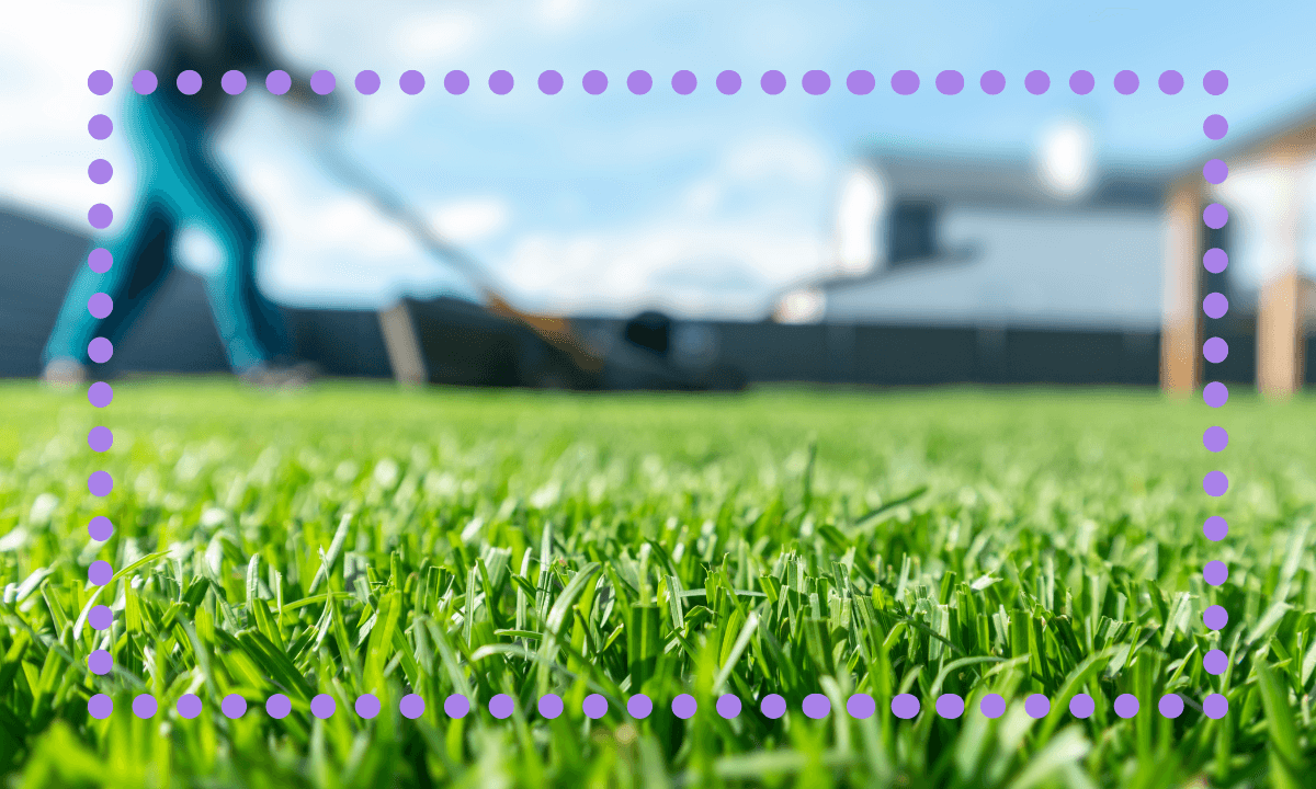 Spring lawn care tips: 7 steps to help your lawn look its best all season long