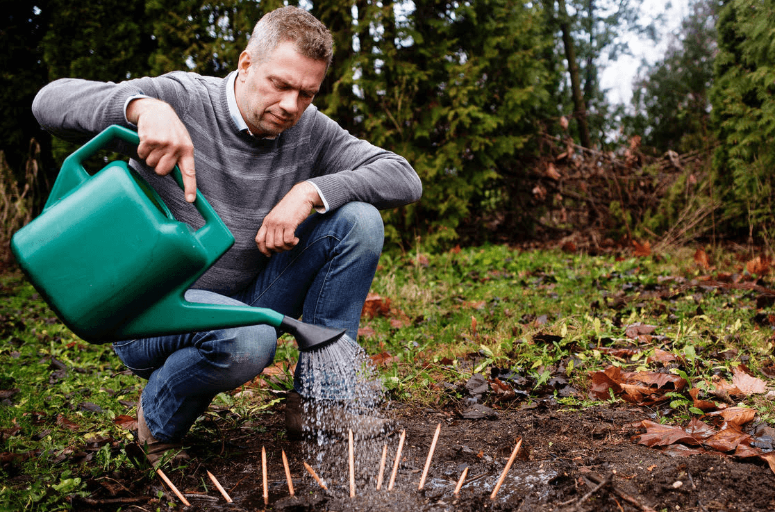 The rise of SproutWorld: behind the sprouting pencil you can plant after use