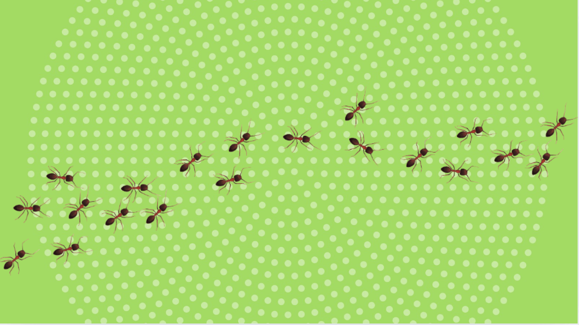 The only kind of ant killer I'll buy is on sale for spring — 18 traps are just $16