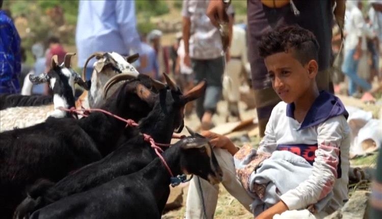 أضحية.. من شعيرة عظيمة إلى حلم بعيد المنال في ظل الغلاء وتراجع الدخل