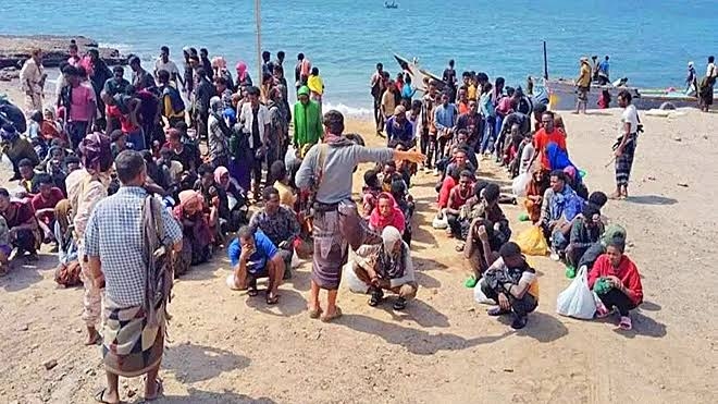 شبوة تشهد موجة جديدة من المهاجرين غير الشرعيين عبر البحر الأحمر