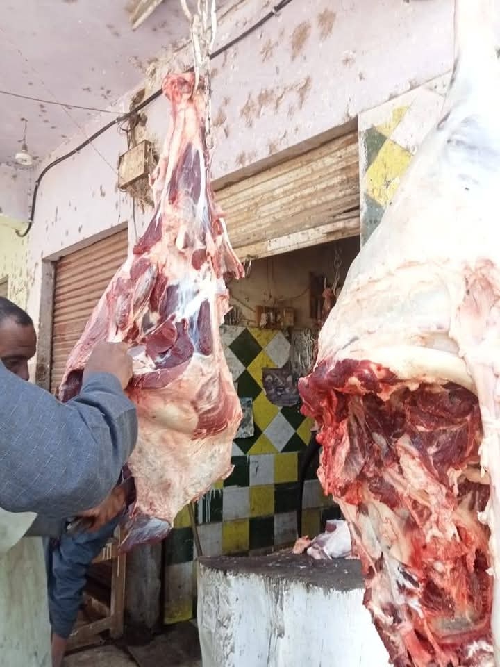 بيطرى الأقصر يضبط ١٨٥ كيلو جرام لحوم مذبوحة خارج المجازر الحكومية بإسنا