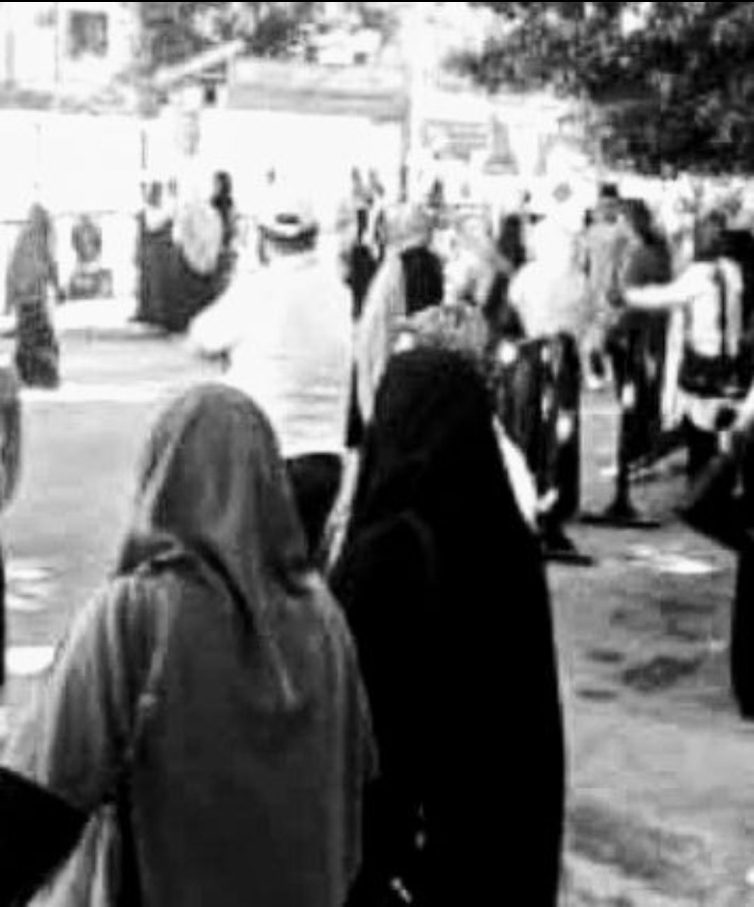 اختلاف اراء الطلاب فى امتحانات الثانوية العامة بأسوان الفيزياء علي مستوي الطالب المتوسط والتاريخ الأسئلة طويلة