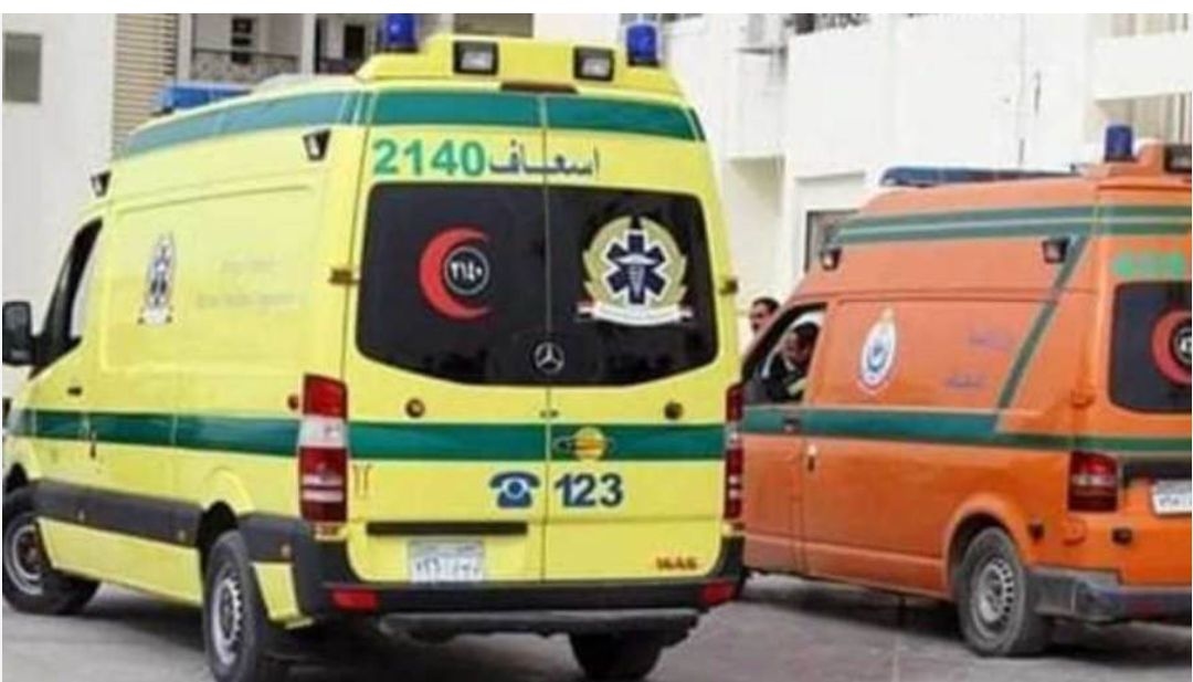 بالأسماء …إصابة 15 شخصً إثر انقلاب ميكروباص بطريق الصحراوي الغربي بإدفو