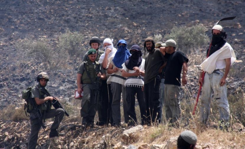 مستوطنون يعتدون على مواطن وزوجته ويسرقون أغنامهم جنوب نابلس