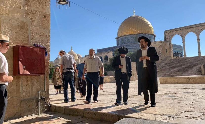 مستوطنون بقيادة "غليك" يقتحمون الأقصى وسط إجراءات مشددة