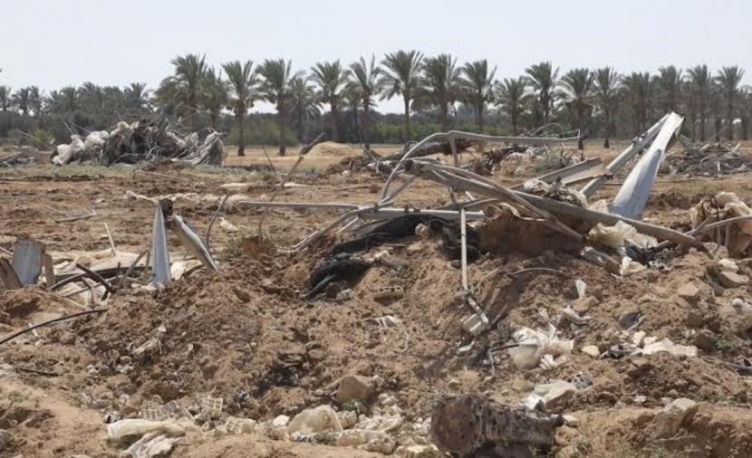 الثوابتة لـ"صفا": 2.2 مليار دولار خسائر القطاع الزراعي بغزة نتيجة العدوان