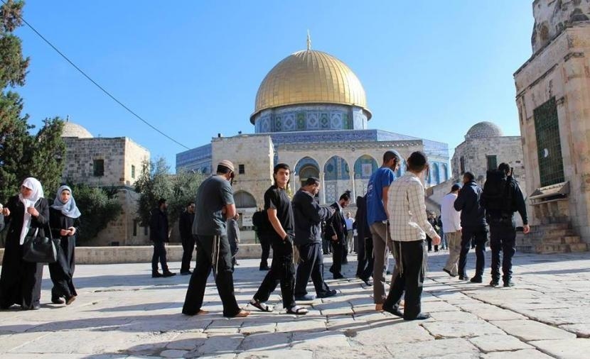 172 مستوطنًا يقتحمون باحات الأقصى