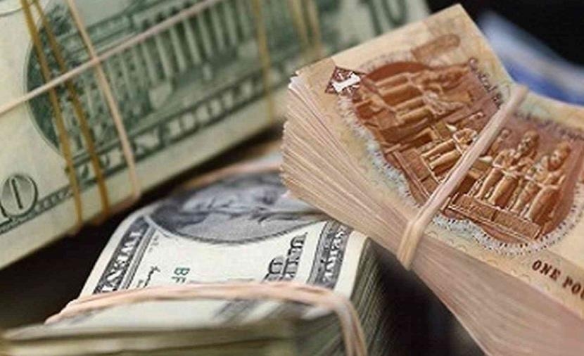 أسعار الدولار في البنوك المصرية اليوم: تراجع محدود وتذبذب مستمر