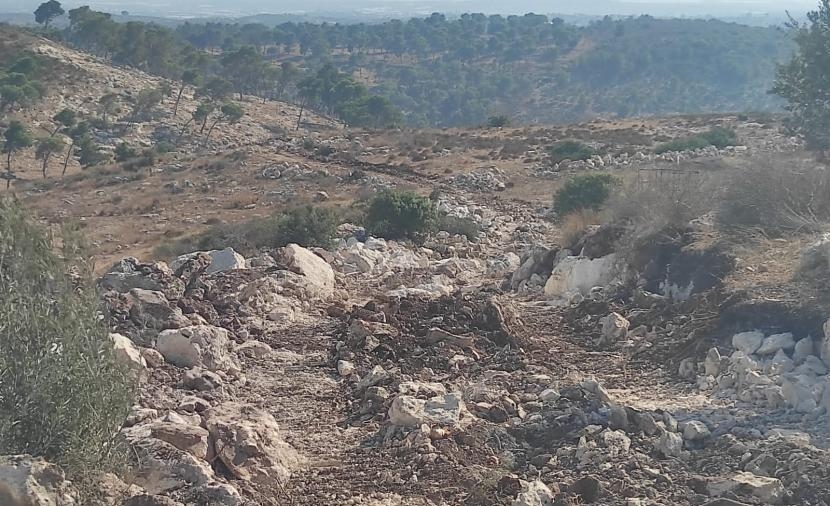 الاحتلال يُجرف أراضٍ جنوب جنين لتوسيع بؤرة استيطانية رعوية