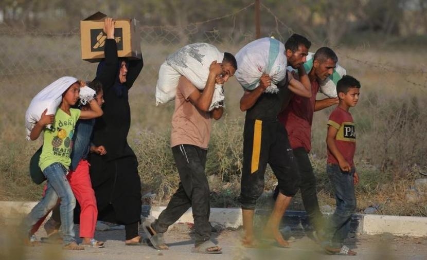 الأونروا: لا يمكن استمرار قتل الفلسطينيين أثناء محاولتهم جلب الطعام