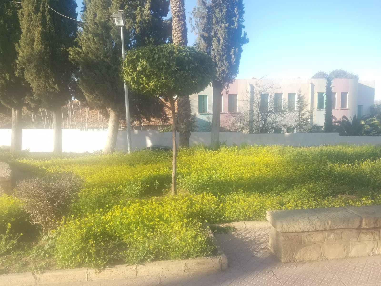 صفرو … حدیقه المغرب تفقد جاذبیتها وفشل ذریع للمجلس فی  التنمیۃ المجاليۃ